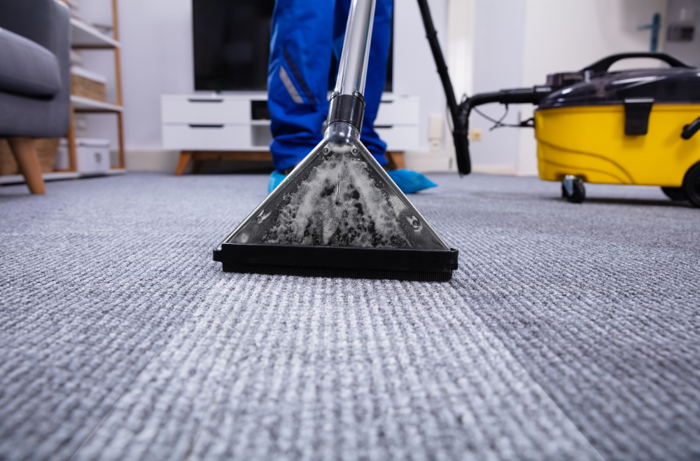 Intervention de nettoyage de moquette épaisse dans une chambre par un professionnel concentré – Île-de-France