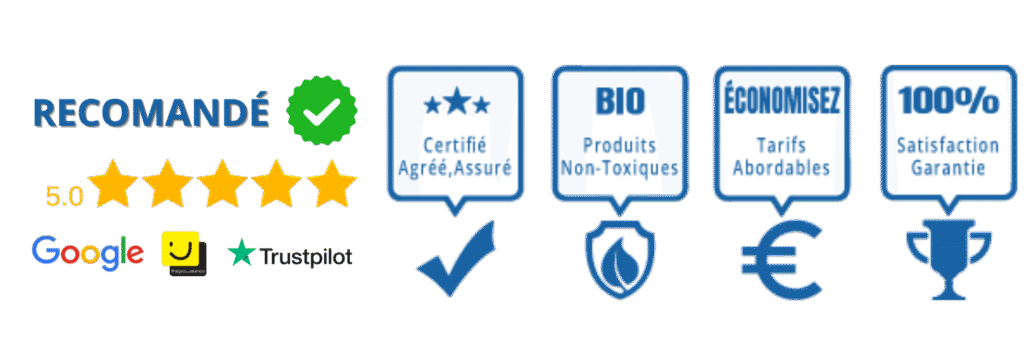 Nettoyage professionnel d’un canapé en tissu gris 2, 3 ou 4 places à domicile, réalisé par Hubertnettoyage avec une machine injecteur-extracteur haut de gamme et des produits écologiques pour éliminer taches, odeurs et acariens dans un appartement et maison dans une ville en Île-de-France 12